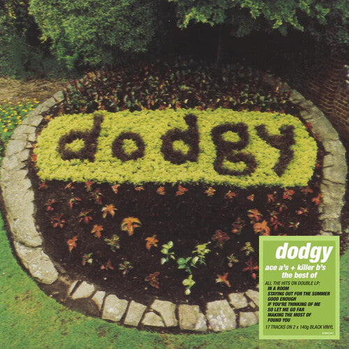 Dodgy Ace A's & Killer B's - Double Record Album - Vinyl LP