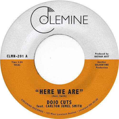 Dojo Cuts Here We Are - Record Album - Vinyl LP