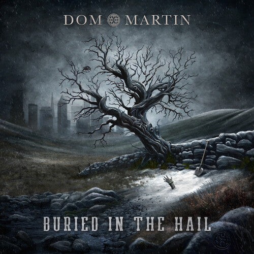 Dom Martin Buried In The Hail - Record Album - Vinyl LP