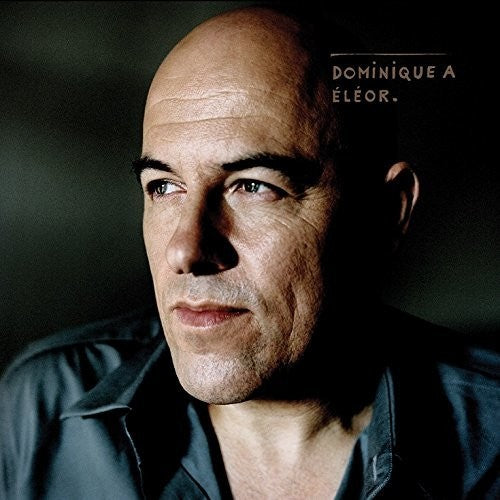 Dominique A Eleor - Double Record Album - Vinyl LP