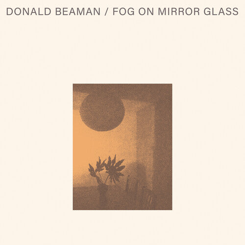 Donald Beaman Fog On Mirror Glass - Record Album - Vinyl LP