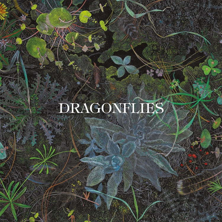 Dragonflies Dragonflies (Indie Exclusive) [Color LP]