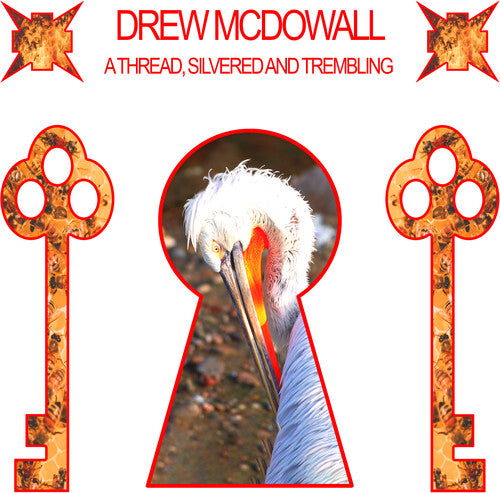 Drew McDowall A Thread, Silvered and Trembling - Record Album - Vinyl LP
