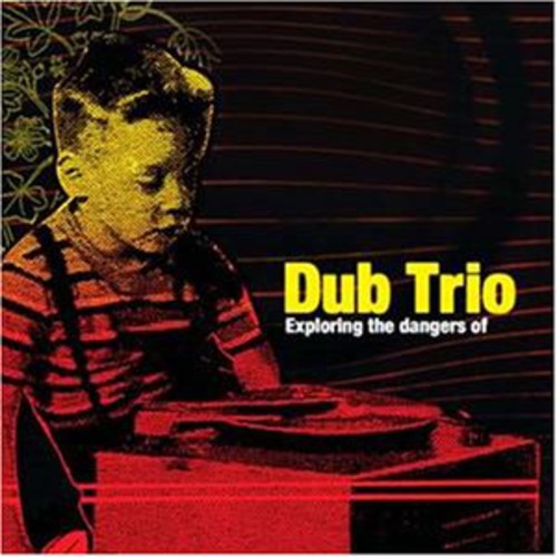Dub Trio Exploring the Dangers of - Record Album - Vinyl LP