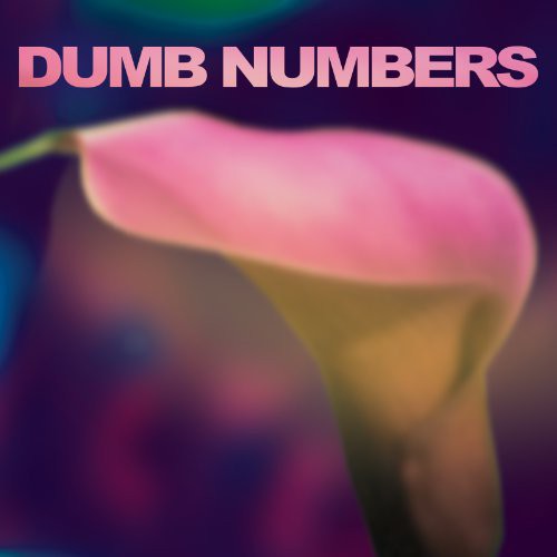 Dumb Numbers Dumb Numbers - Record Album - Vinyl LP
