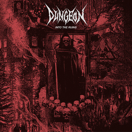 Dungeon Into The Ruins - Record Album - Vinyl LP