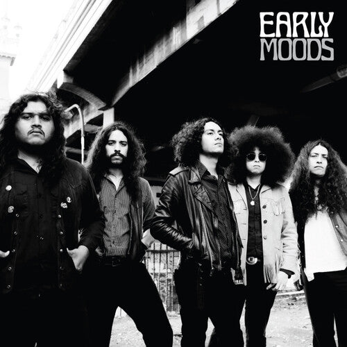 EARLY MOODS Early Moods - Record Album - Vinyl LP