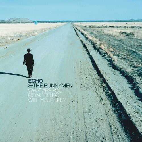 Echo & Bunnymen What Are You Going To Do With Your Life? (25th Anniversary) - Record Album - Vinyl LP