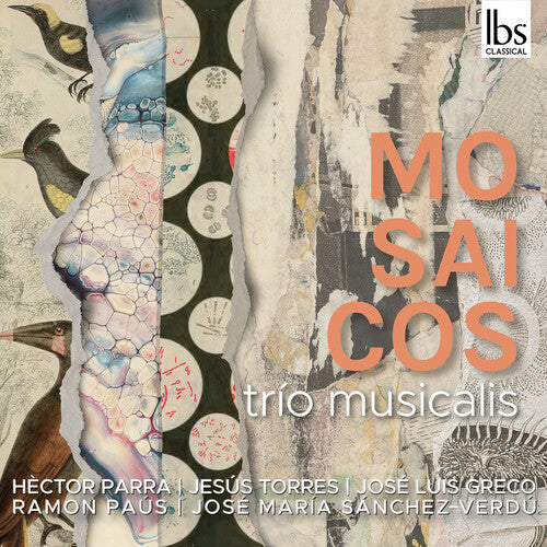 Eduardo Raimundo Mosaicos - CD Album