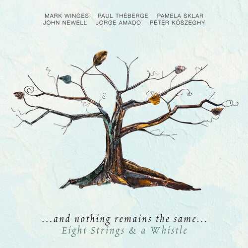 Eight Strings & A Whistle & Nothing Remains the Same - CD Album
