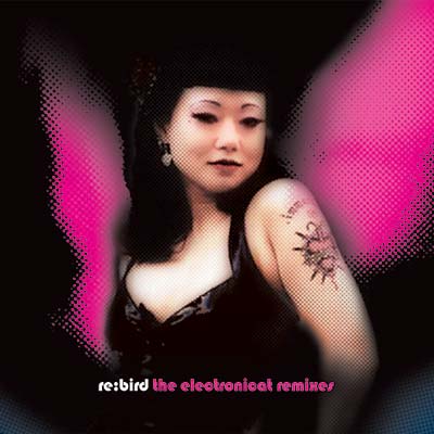 ELECTRONICAT Re: Bird -- The Electronicat Remixes