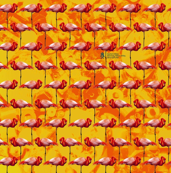 ELEPHANT CHATEAU Dreamings & Offshore Drilling - Pearls And Turtles