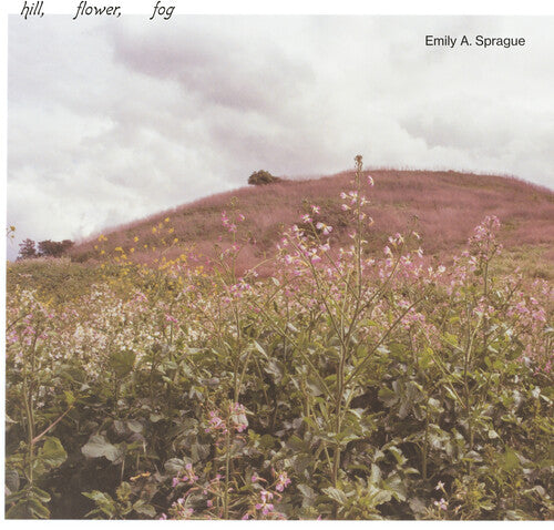 Emily A. Sprague Hill, Flower, Fog - Record Album - Vinyl LP