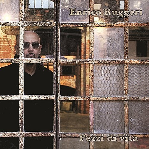 Enrico Ruggeri Pezzi Di Vita - Record Album - Vinyl LP