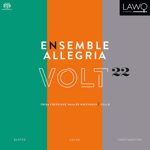 Ensemble Allegria Volt 22: Works for String Orchestra - CD Album