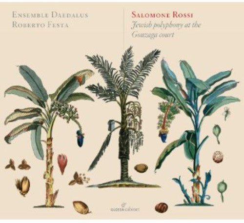 Ensemble Daedalus Jewish Polyphony at the Gonzaga Court - CD Album