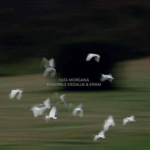 Ensemble Dedalus FATA MORGANA - CD Album