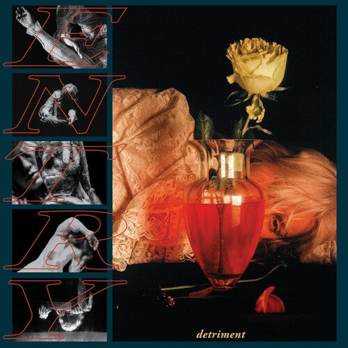 Entry Detriment - Record Album - Vinyl LP