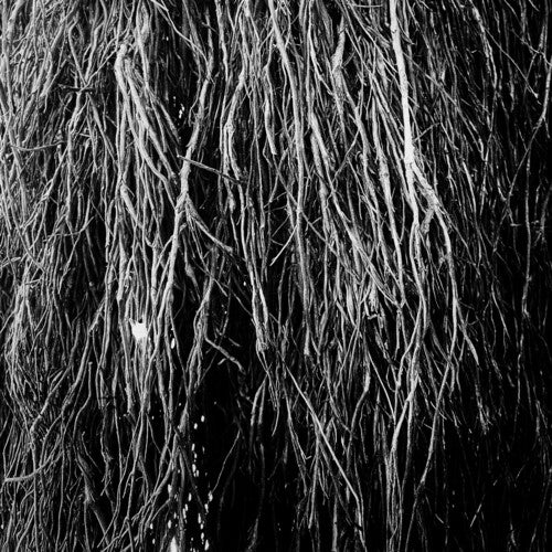Eraldo Bernocchi Nocturnal Rainforest - Record Album - Vinyl LP