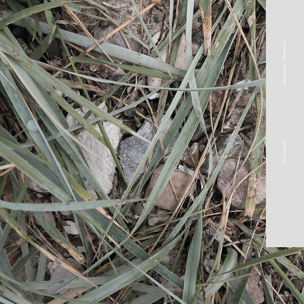 Erik Enocksson Farval Falkenberg