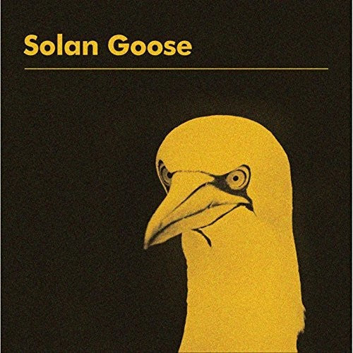 Erland Cooper Solan Goose - Record Album - Vinyl LP