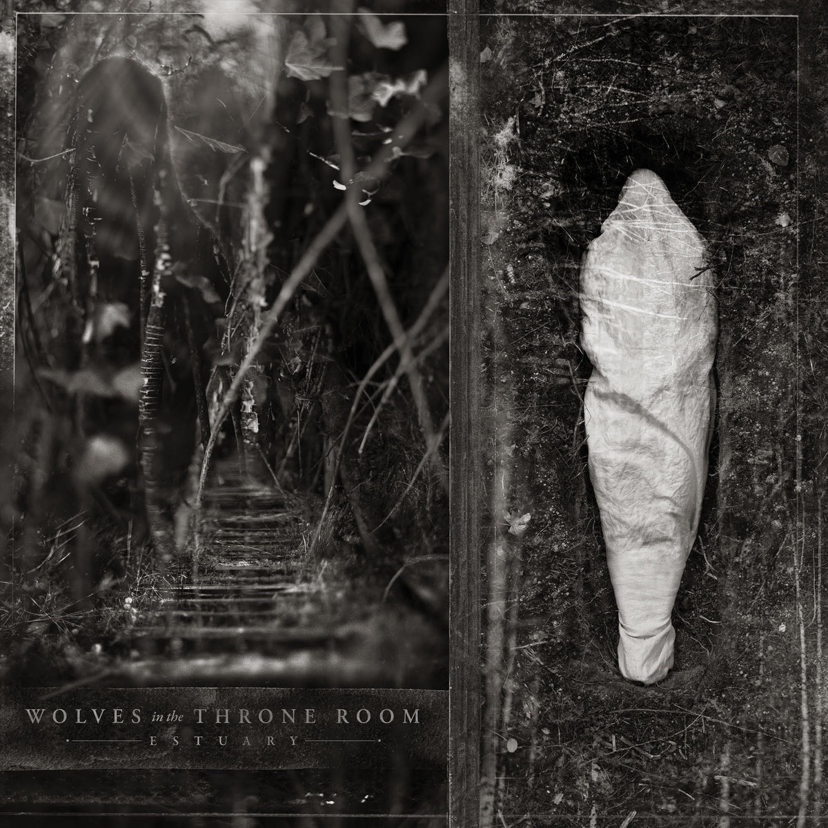 Estuary Wolves In The Throne Room