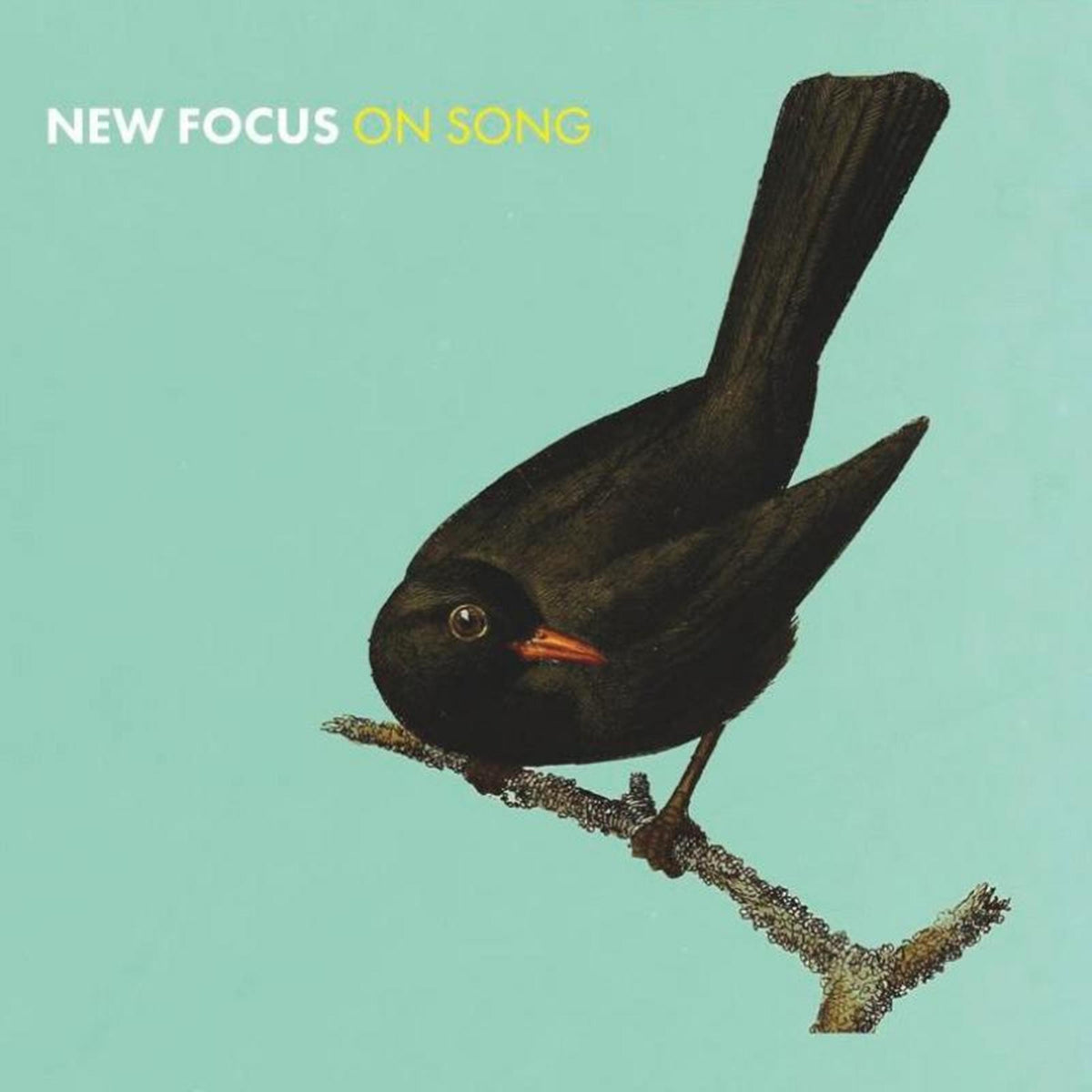 Euan & Wiszniewski Stevenson New Focus On Song