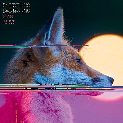 Everything Everything Man Alive - Double Record Album - Vinyl LP