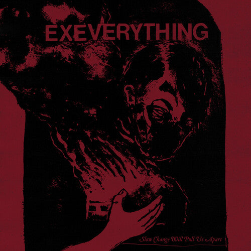 Ex Everything Slow Change Will Pull Us Apart - Record Album - Vinyl LP