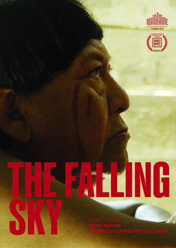 Falling Sky The Falling Sky - DVD