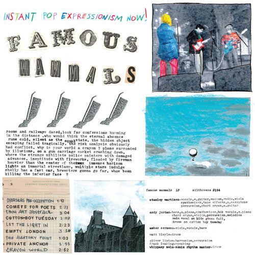 Famous Mammals Instant Pop Expressionism Now! - Record Album - Vinyl LP