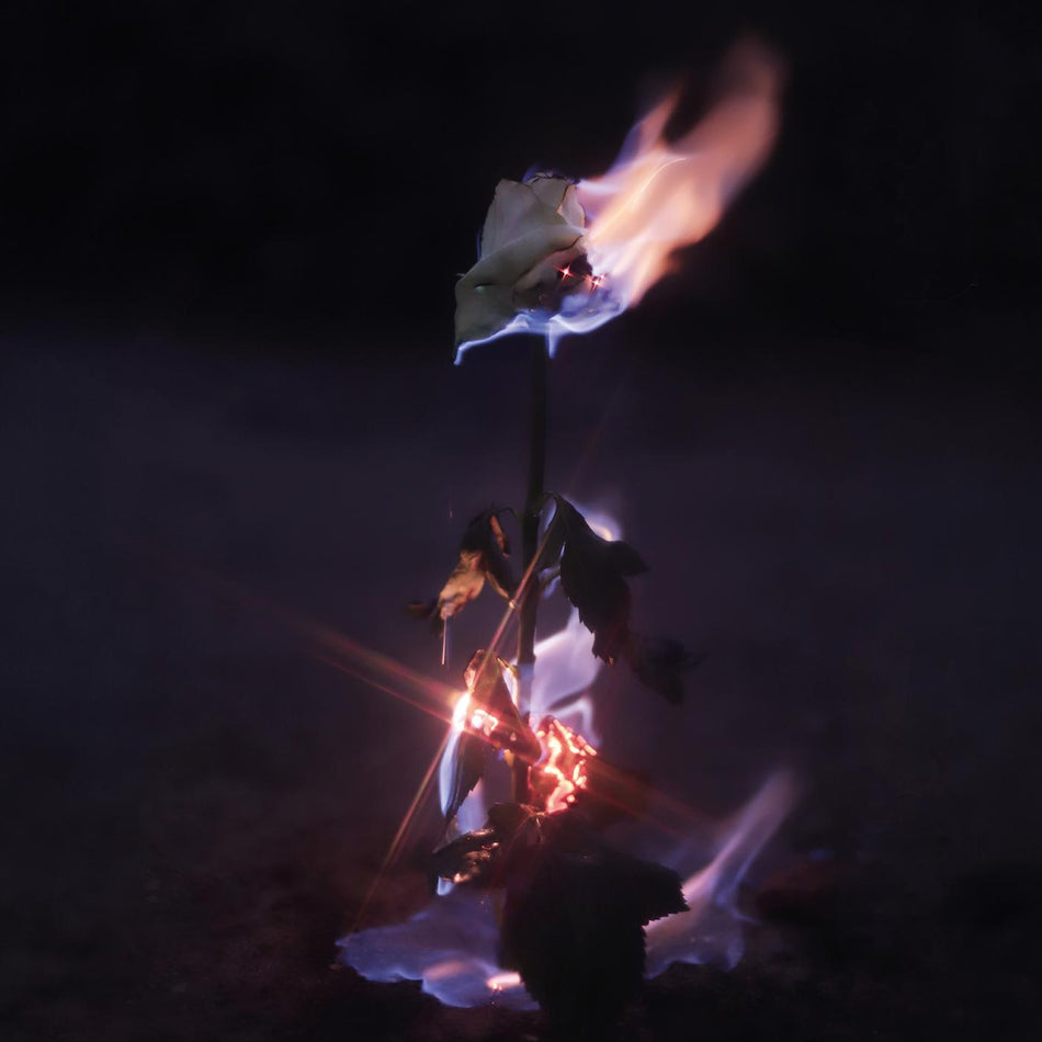 FARWARMTH Momentary Glow