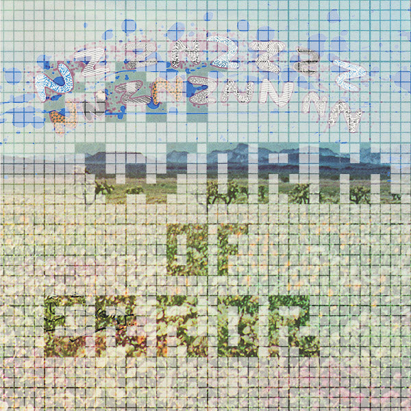 FAT WORM OF ERROR Nzznzzzznnznznnn