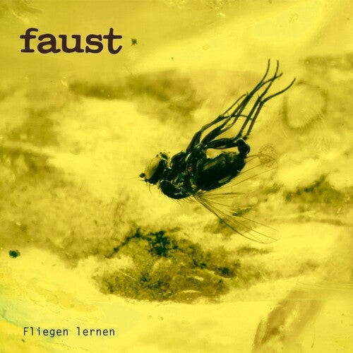 Faust Fliegen Lernen - Record Album - Vinyl LP
