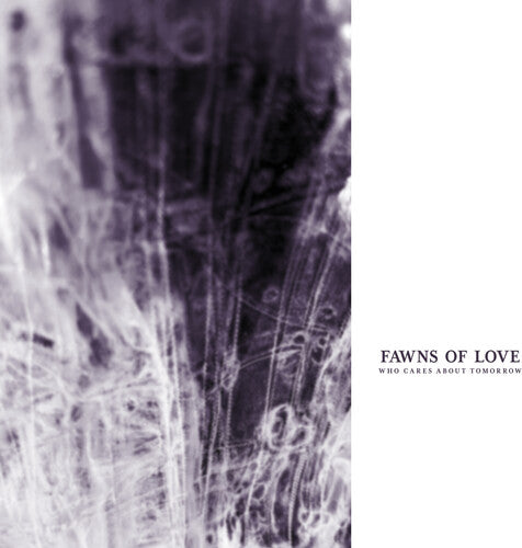 Fawns of Love Who Cares About Tomorrow - Record Album - Vinyl LP