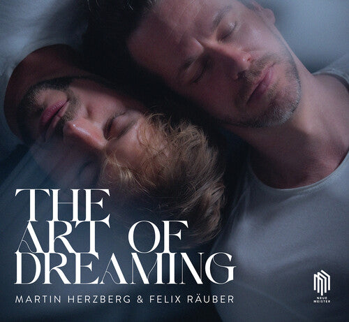 Felix Rauber Art of Dreaming - CD Album