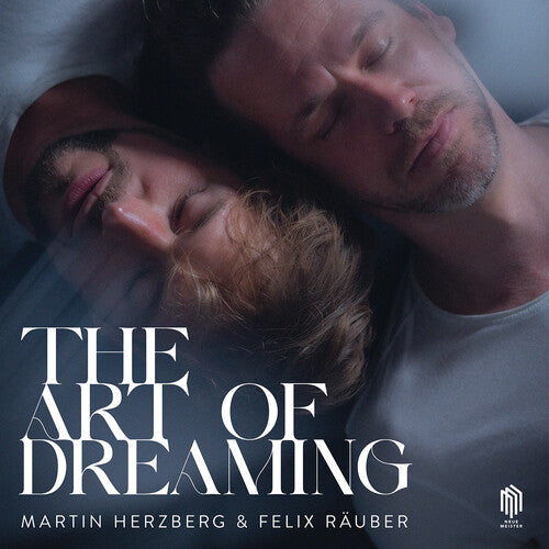 Felix Rauber Art of Dreaming - Record Album - Vinyl LP