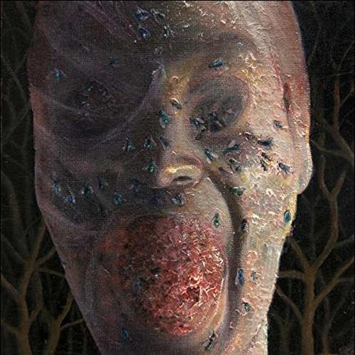 Festerday Four Stages of Decomposition - Triple Record Album - Vinyl LP
