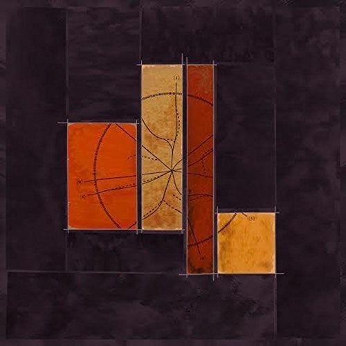 Fictonian Desire Lines - Record Album - Vinyl LP