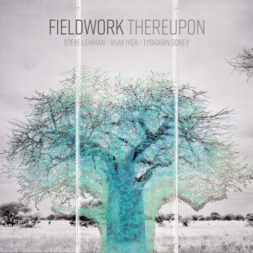 Fieldwork Thereupon - Record Album - Vinyl LP
