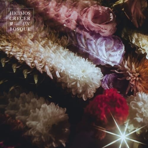 Fin Del Mundo Hicimos Crecer Un Bosque - Record Album - Vinyl LP