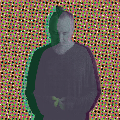 Fink Beauty In Your Wake Acoustic - 2-Disc CD Album