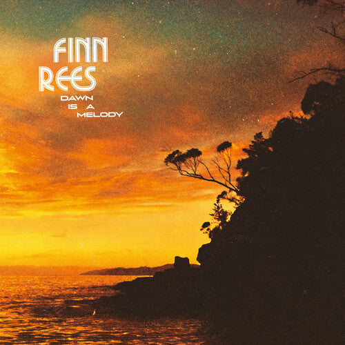 Finn Rees Dawn Is A Melody - Double Record Album - Vinyl LP