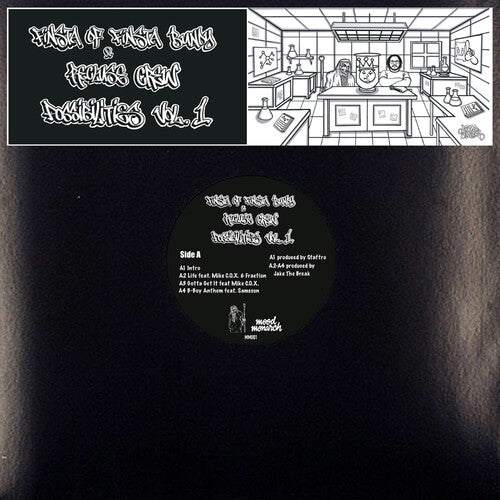 Finsta & Recluse Crew Possibilities Vol.1 - Record Album - Vinyl LP