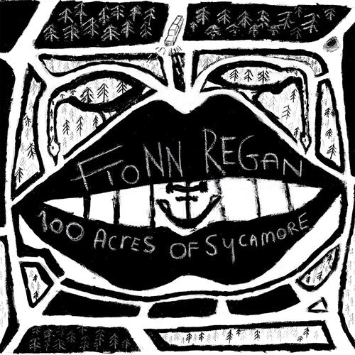 Fionn Regan 100 Acres Of Sycamore - Record Album - Vinyl LP