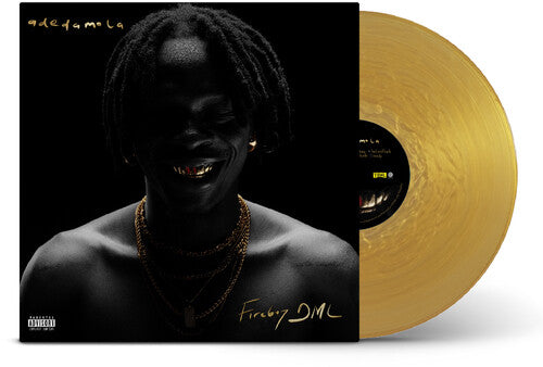 Fireboy DML adedamola - Record Album - Vinyl LP
