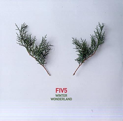 Fiv5 Winter Wonderland - Record Album - Vinyl LP