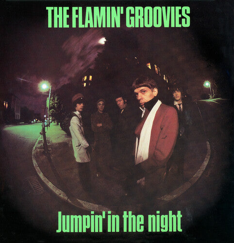 Flamin' Groovies Jumpin' In The Night - Record Album - Vinyl LP