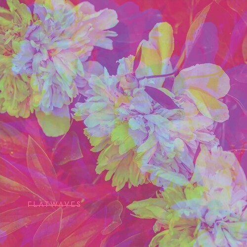 Flatwaves Numbra - Record Album - Vinyl LP