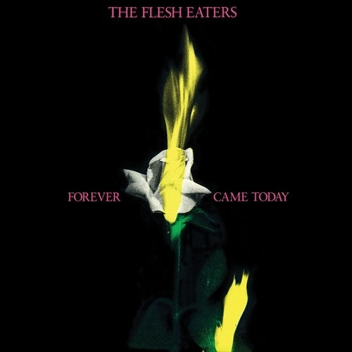Flesh Eaters Forever Came Today - Record Album - Vinyl LP
